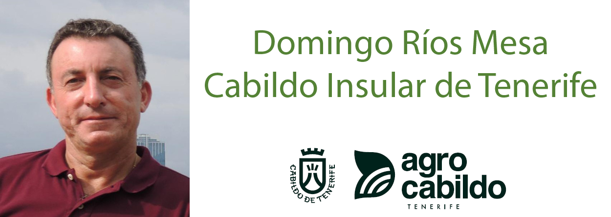 Domingo Ríos